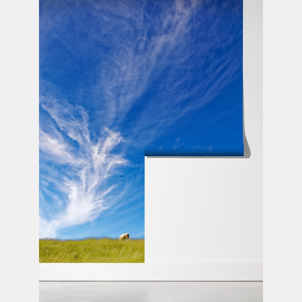 Fototapeta spokojna łąka pod błękitnym niebem – Wallissimo® Fototapeta spokojna łąka pod błękitnym niebem – Wallissimo®