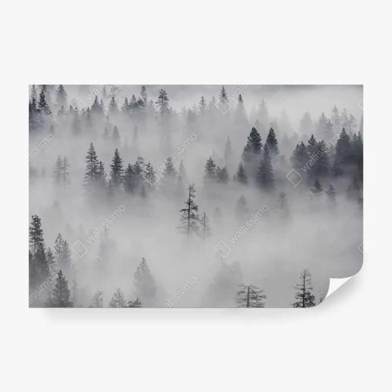 Fototapeta wschód słońca nad Epupa Falls i rzeką Kunene – Wallissimo®