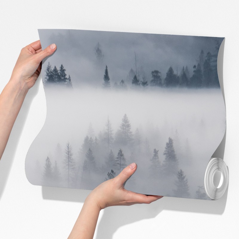 Fototapeta mglisty las sosnowy – Wallissimo® Fototapeta mglisty las sosnowy – Wallissimo®