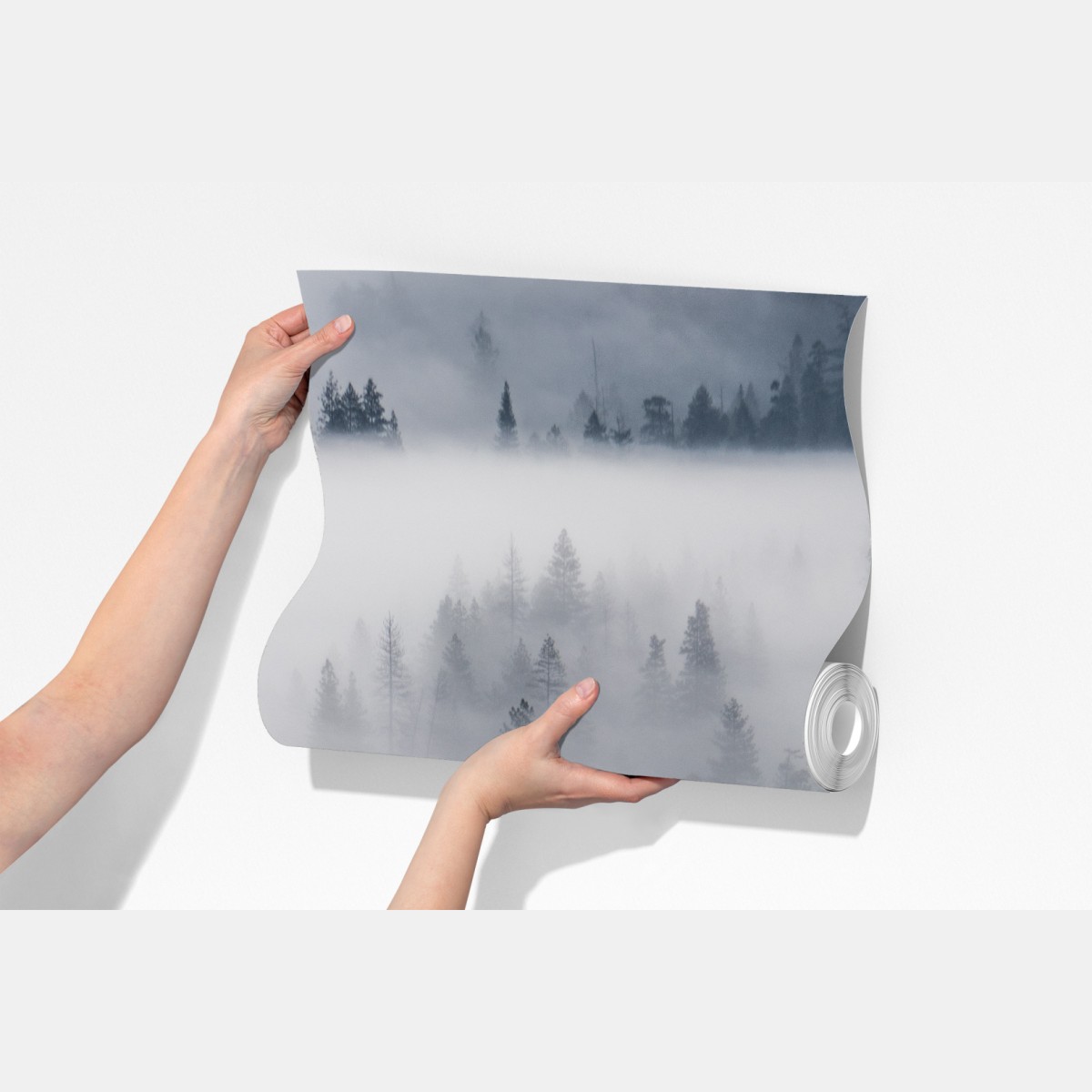 Fototapeta mglisty las sosnowy – Wallissimo® Fototapeta mglisty las sosnowy – Wallissimo®