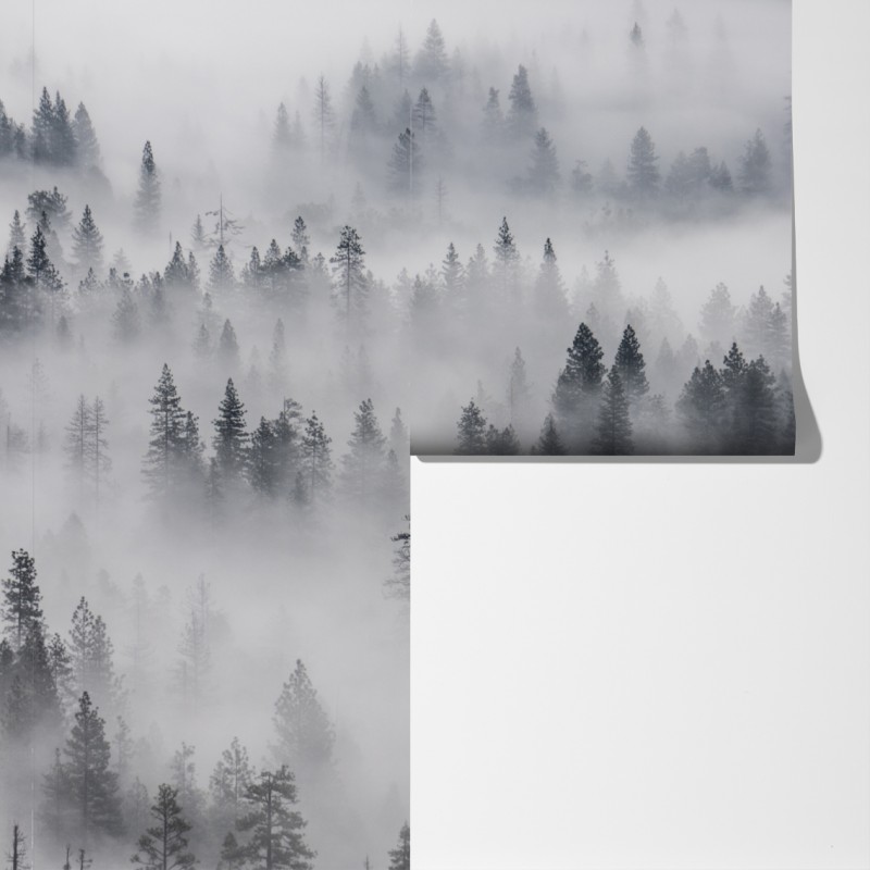 Fototapeta mglisty las sosnowy – Wallissimo® Fototapeta mglisty las sosnowy – Wallissimo®