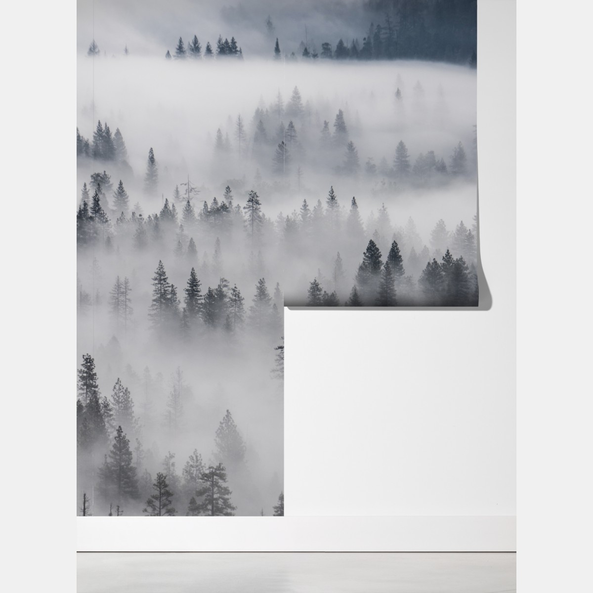 Fototapeta mglisty las sosnowy – Wallissimo® Fototapeta mglisty las sosnowy – Wallissimo®