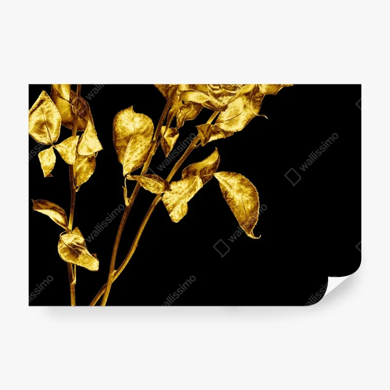 Wall mural golden roses on black