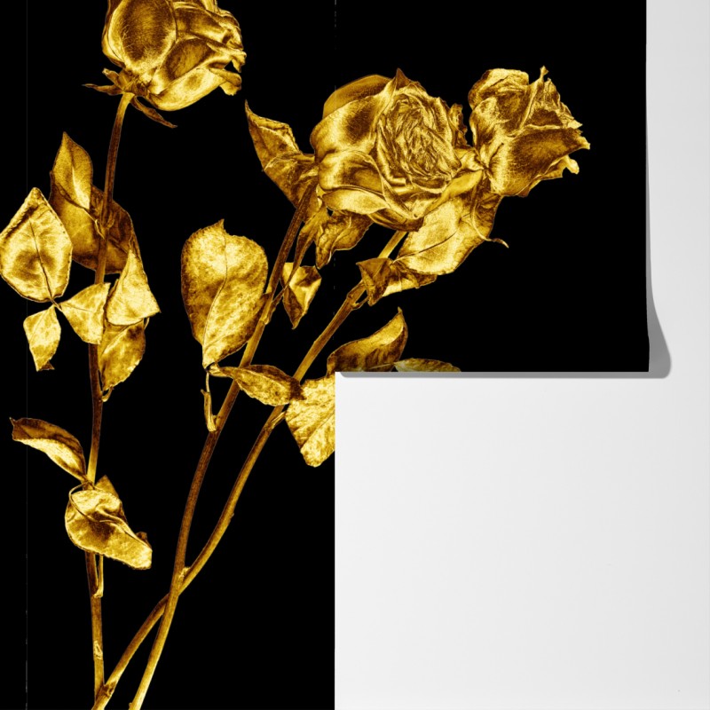 Fototapeta złote róże na czarnym tle – Wallissimo® Fototapeta złote róże na czarnym tle – Wallissimo®