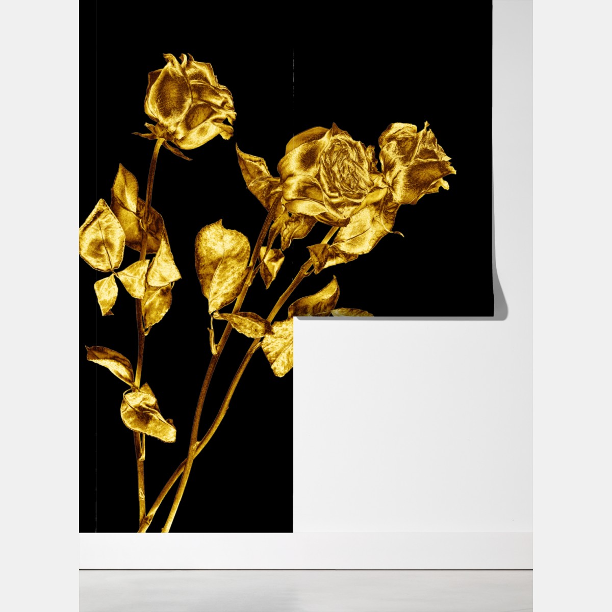 Fototapeta złote róże na czarnym tle – Wallissimo® Fototapeta złote róże na czarnym tle – Wallissimo®