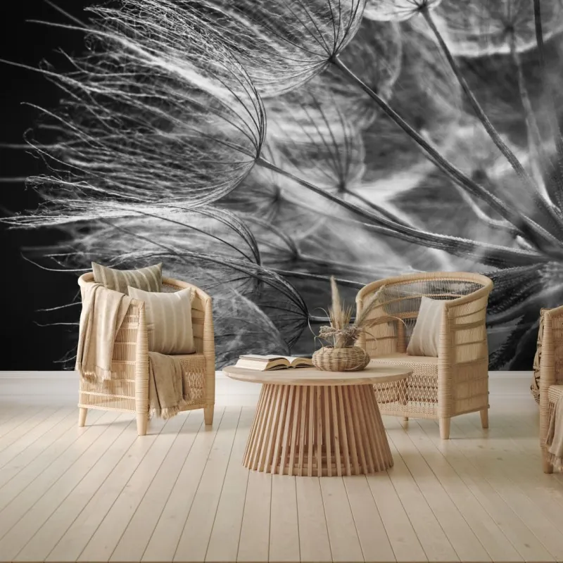 Wall mural delicate dandelion seed head in monochrome