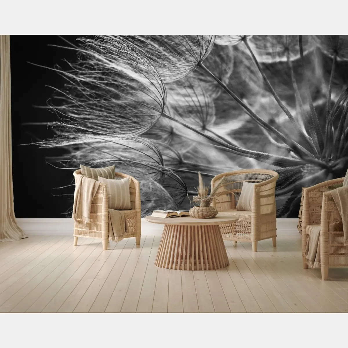 Fototapeta delikatny puch dmuchawca w monochromie – Wallissimo® Fototapeta delikatny puch dmuchawca w monochromie – Wallissimo®