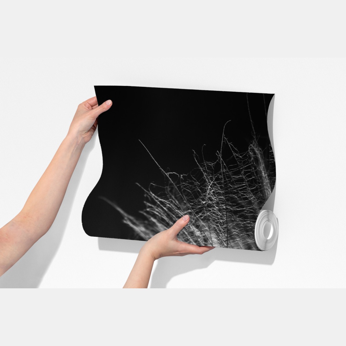 Fototapeta delikatny puch dmuchawca w monochromie – Wallissimo® Fototapeta delikatny puch dmuchawca w monochromie – Wallissimo®