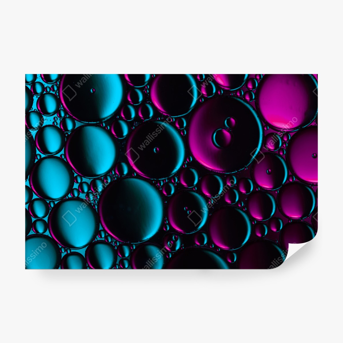 Fototapeta turkusowo-magenta wzór bąbelków – Wallissimo® Fototapeta turkusowo-magenta wzór bąbelków – Wallissimo®