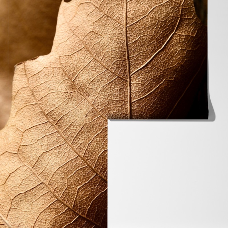 Fototapeta tekstura suchego liścia w zbliżeniu – Wallissimo® Fototapeta tekstura suchego liścia w zbliżeniu – Wallissimo®