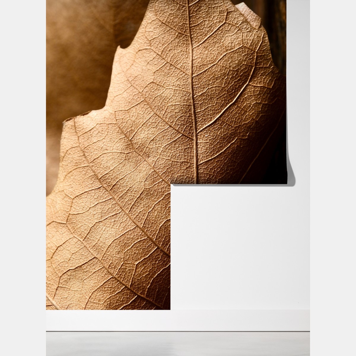 Fototapeta tekstura suchego liścia w zbliżeniu – Wallissimo® Fototapeta tekstura suchego liścia w zbliżeniu – Wallissimo®