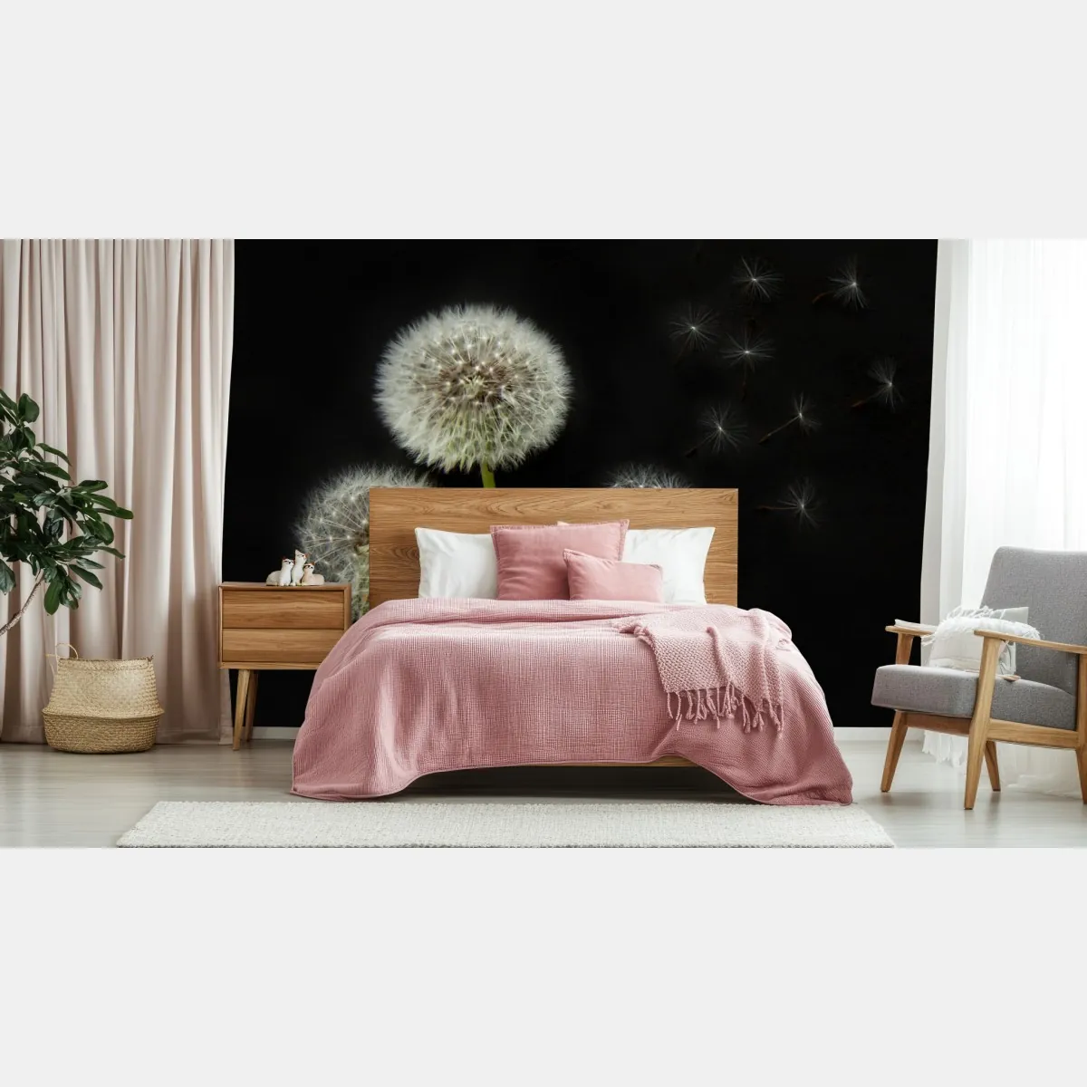 Fototapeta delikatne główki mniszka na czarnym tle – Wallissimo® Fototapeta delikatne główki mniszka na czarnym tle – Wallissimo®