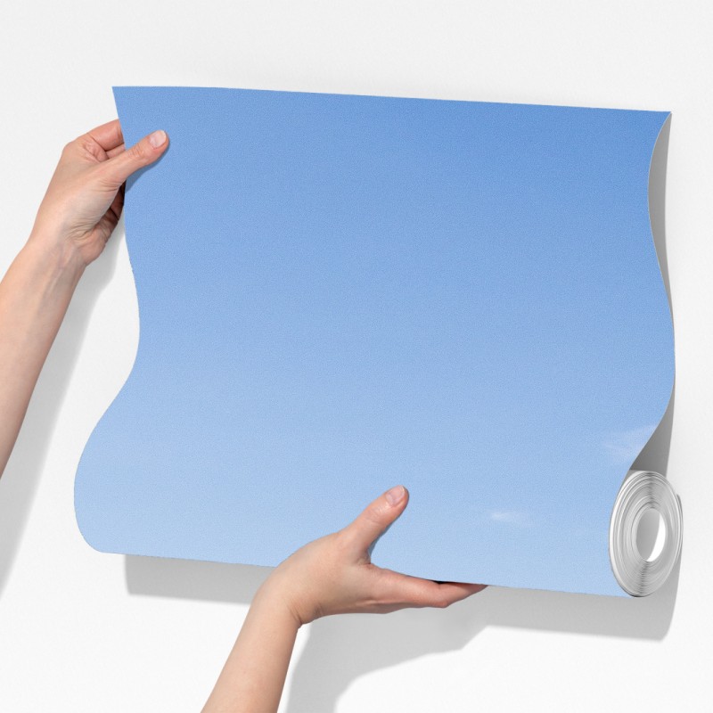 Fototapeta panorama Nowego Jorku z Empire State Building – Wallissimo® Fototapeta panorama Nowego Jorku z Empire State Building – Wallissimo®