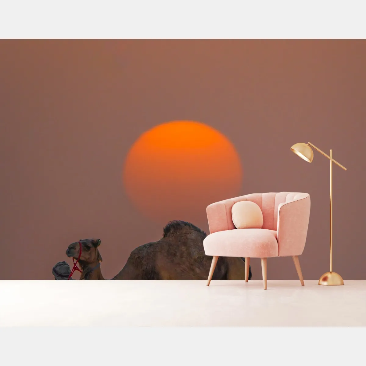 Fototapeta wielbłąd na tle zachodu słońca na pustyni – Wallissimo® Fototapeta wielbłąd na tle zachodu słońca na pustyni – Wallissimo®