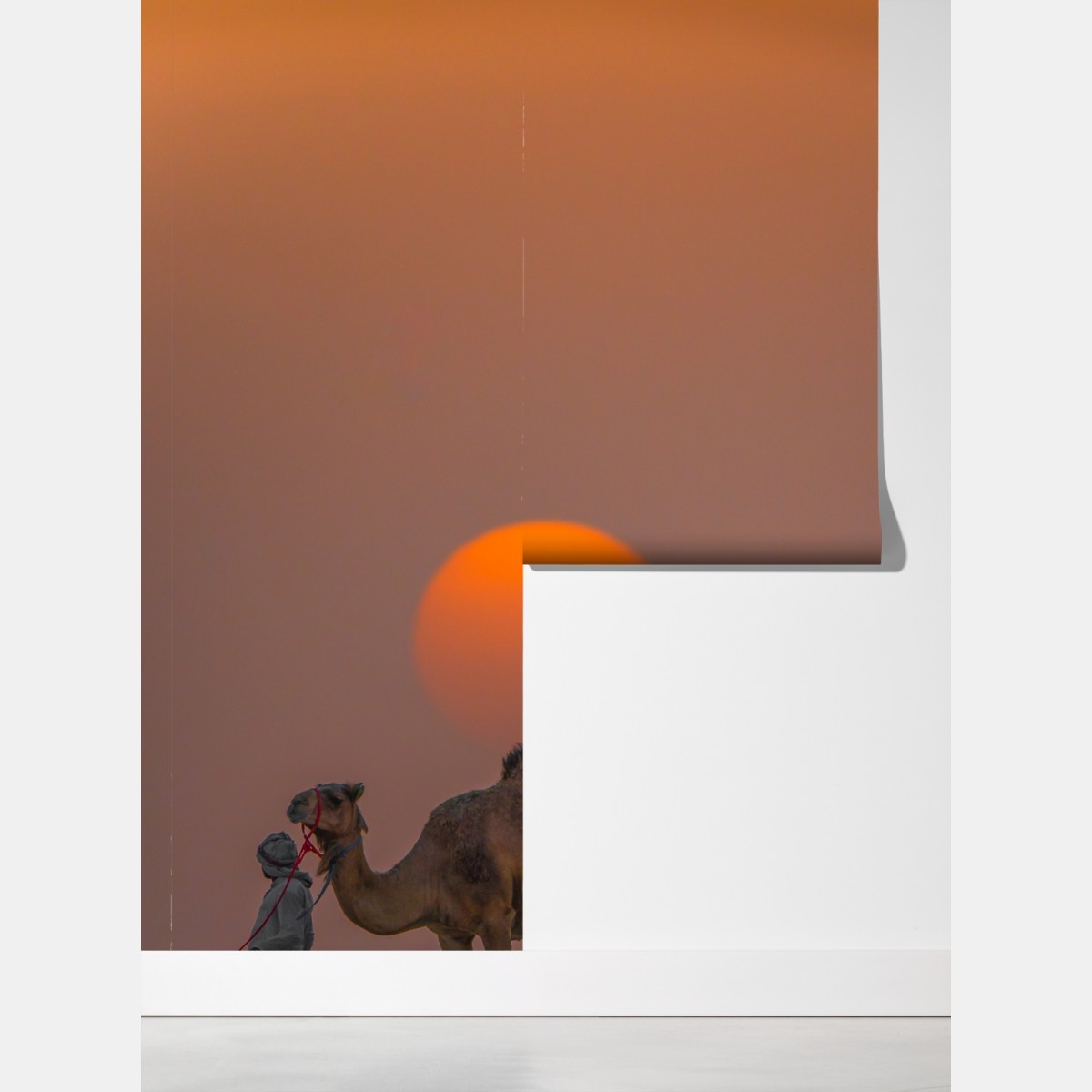 Fototapeta wielbłąd na tle zachodu słońca na pustyni – Wallissimo® Fototapeta wielbłąd na tle zachodu słońca na pustyni – Wallissimo®