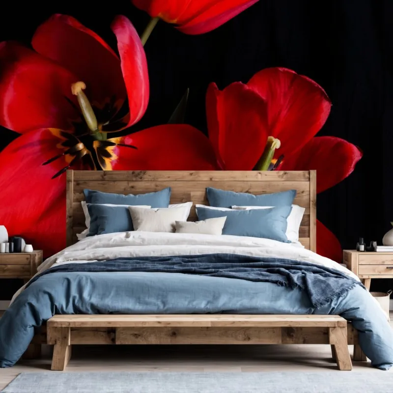 Wall mural three red tulips on black