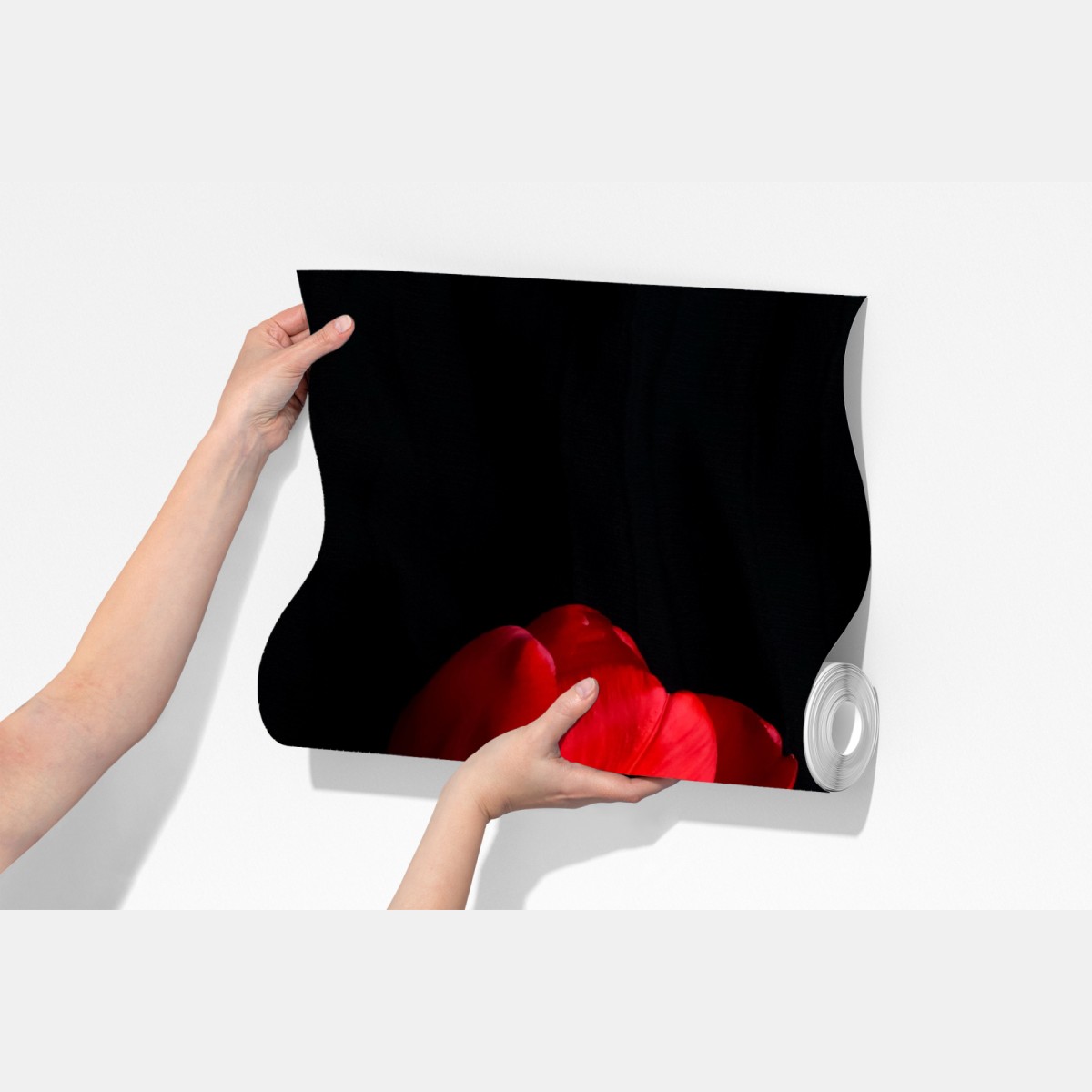 Fototapeta trzy czerwone tulipany na czarnym tle – Wallissimo® Fototapeta trzy czerwone tulipany na czarnym tle – Wallissimo®