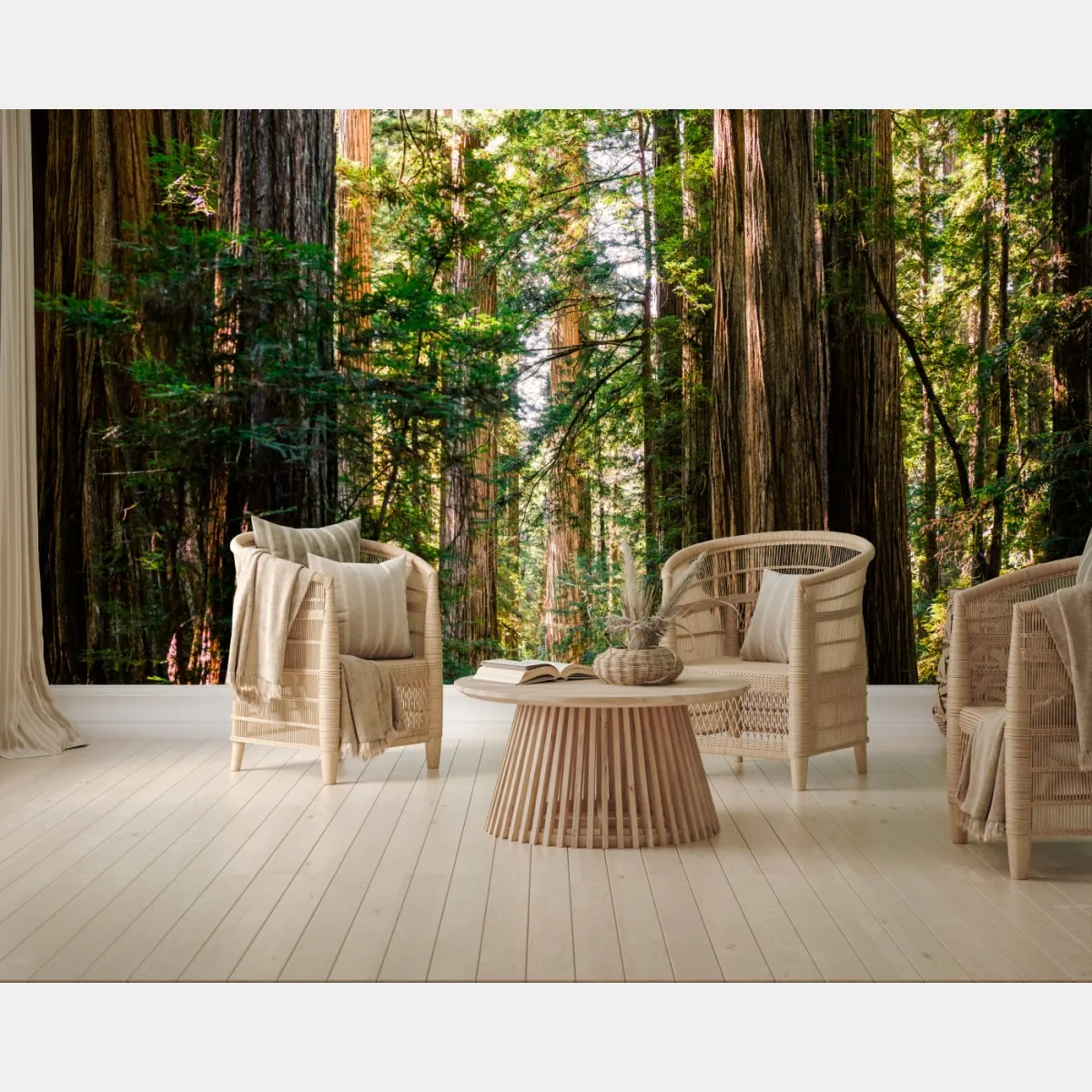 Fototapeta majestatyczna ścieżka w lesie sekwoi – Wallissimo® Fototapeta majestatyczna ścieżka w lesie sekwoi – Wallissimo®