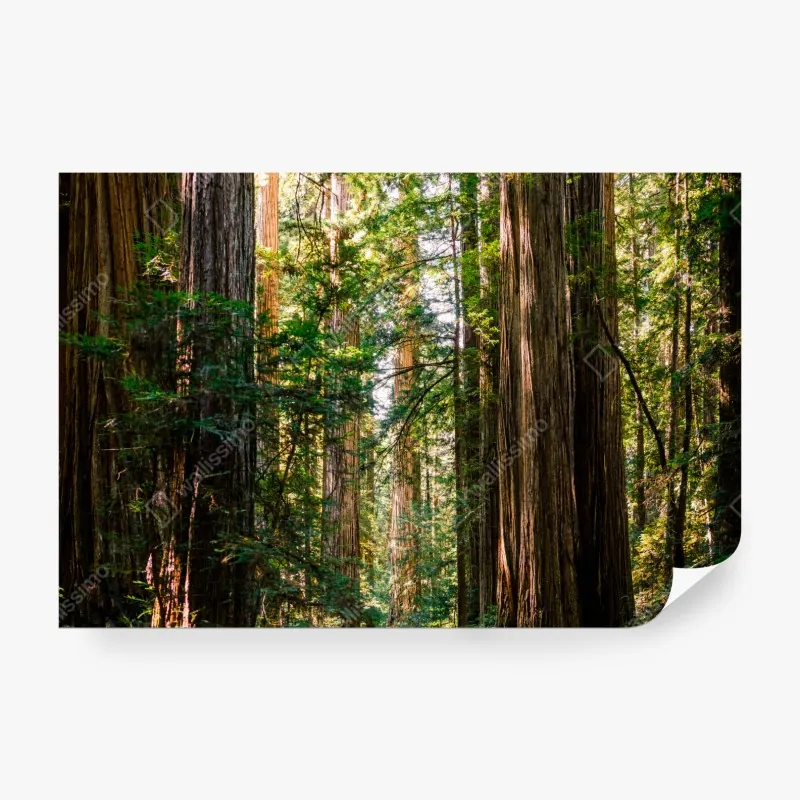 Fototapeta delikatny niebieski wzór botaniczny – Wallissimo®