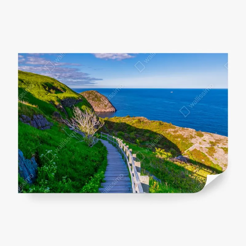 Fototapeta zabawny turkusowy wzór kaktusa – Wallissimo®