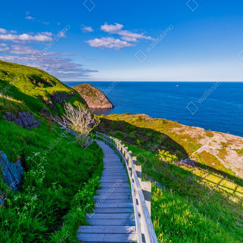 Fototapeta nadmorska ścieżka z widokiem na morze – Wallissimo® Fototapeta nadmorska ścieżka z widokiem na morze – Wallissimo®