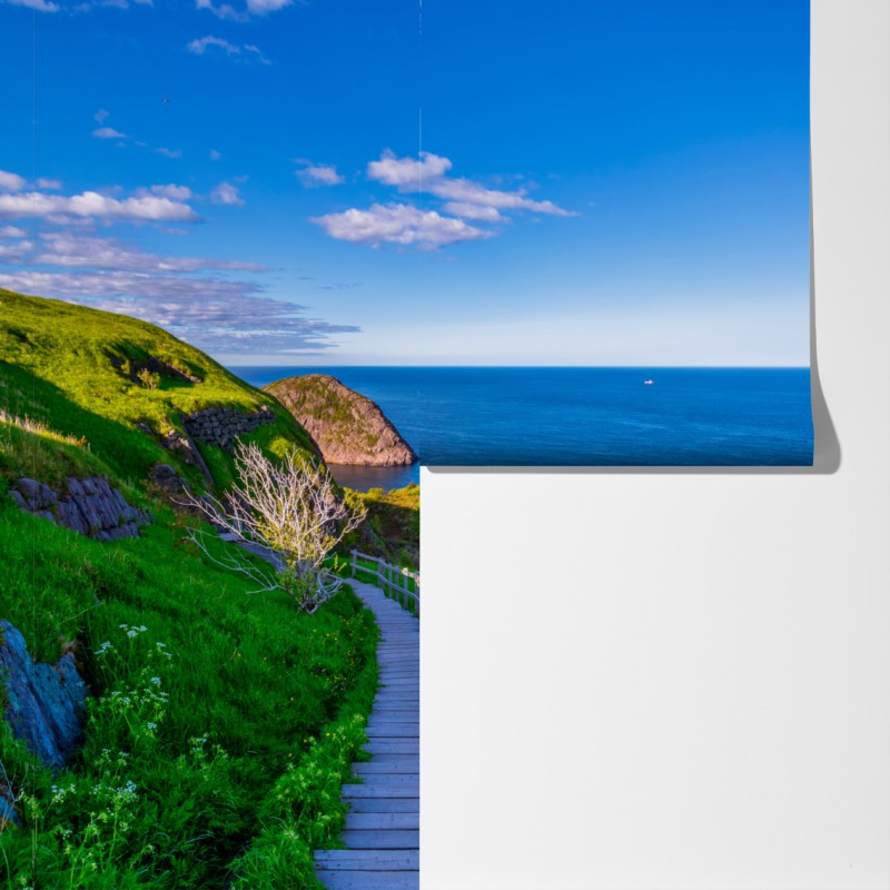 Fototapeta nadmorska ścieżka z widokiem na morze – Wallissimo® Fototapeta nadmorska ścieżka z widokiem na morze – Wallissimo®