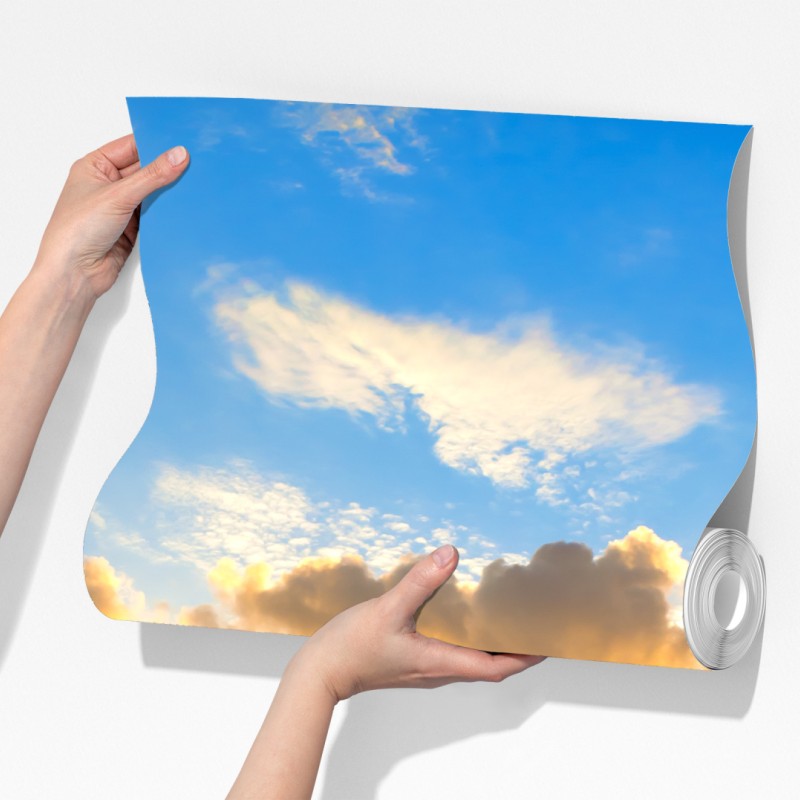 Fototapeta wschód słońca nad łąką pełną fioletowych kwiatów – Wallissimo® Fototapeta wschód słońca nad łąką pełną fioletowych kwiatów – Wallissimo®