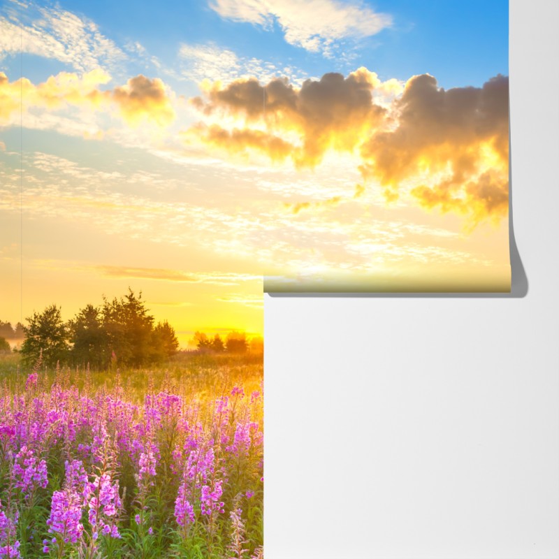 Fototapeta wschód słońca nad łąką pełną fioletowych kwiatów – Wallissimo® Fototapeta wschód słońca nad łąką pełną fioletowych kwiatów – Wallissimo®