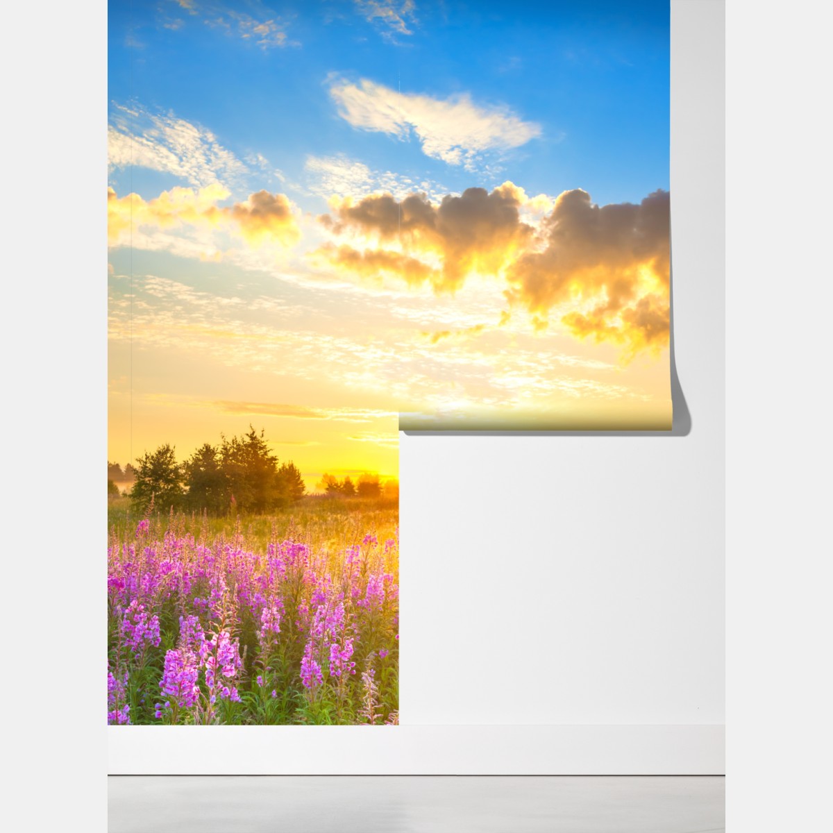 Fototapeta wschód słońca nad łąką pełną fioletowych kwiatów – Wallissimo® Fototapeta wschód słońca nad łąką pełną fioletowych kwiatów – Wallissimo®