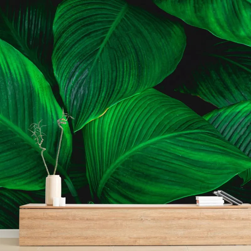 Wall mural lush tropical leaves wall art