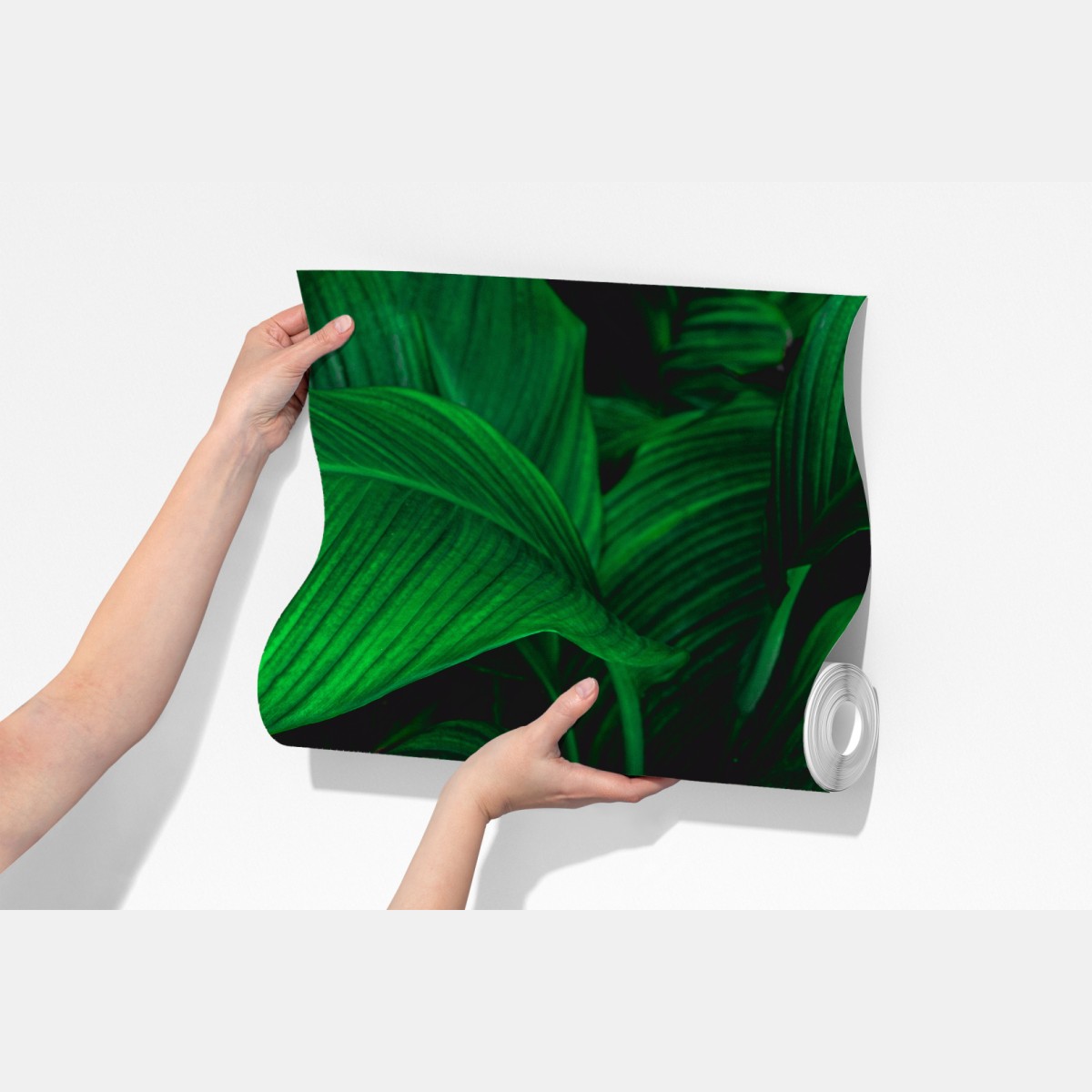 Fototapeta bujne tropikalne liście – Wallissimo® Fototapeta bujne tropikalne liście – Wallissimo®