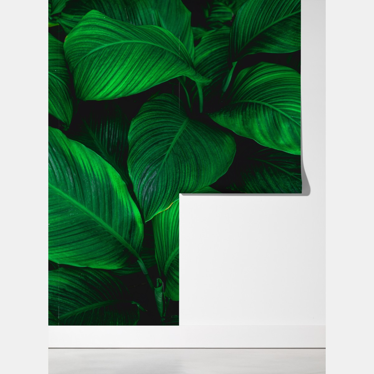 Fototapeta bujne tropikalne liście – Wallissimo® Fototapeta bujne tropikalne liście – Wallissimo®