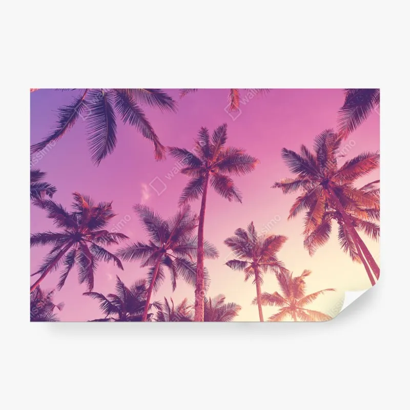 Wall mural tropical palms at sunset