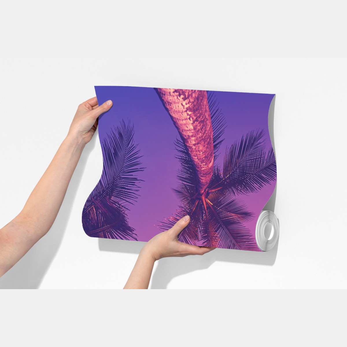 Fototapeta tropikalne palmy o zachodzie słońca – Wallissimo® Fototapeta tropikalne palmy o zachodzie słońca – Wallissimo®