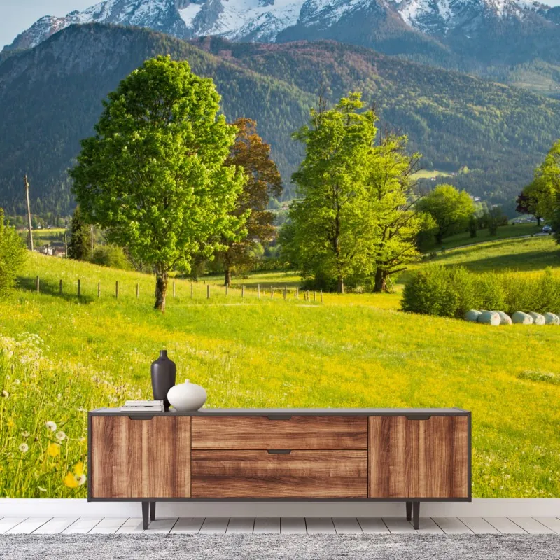 Wall mural alpine spring meadow beneath snowcapped peaks