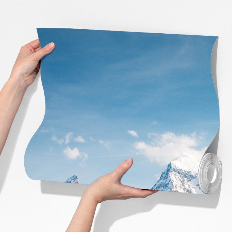 Fototapeta alpejska wiosenna łąka pod śnieżnymi szczytami – Wallissimo® Fototapeta alpejska wiosenna łąka pod śnieżnymi szczytami – Wallissimo®