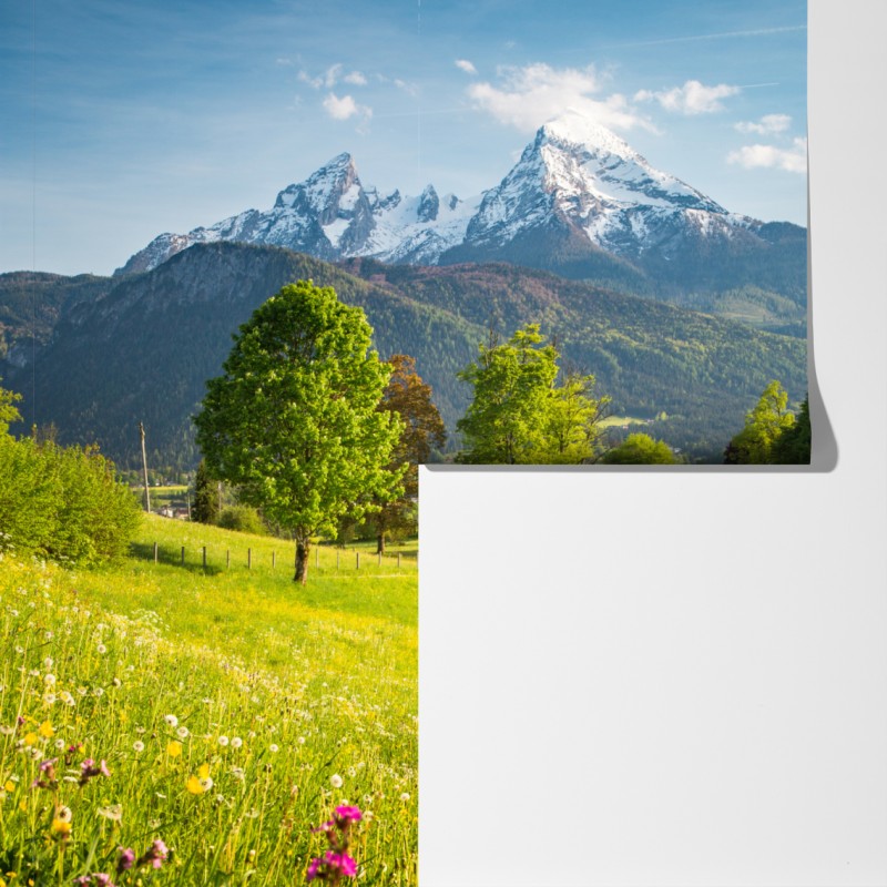 Fototapeta alpejska wiosenna łąka pod śnieżnymi szczytami – Wallissimo® Fototapeta alpejska wiosenna łąka pod śnieżnymi szczytami – Wallissimo®