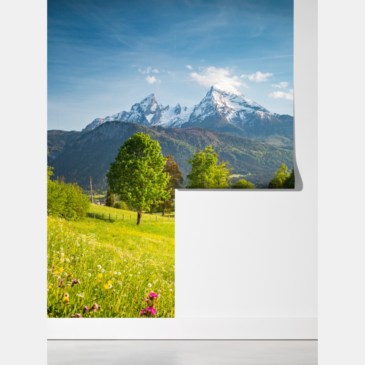 Fototapeta alpejska wiosenna łąka pod śnieżnymi szczytami – Wallissimo® Fototapeta alpejska wiosenna łąka pod śnieżnymi szczytami – Wallissimo®