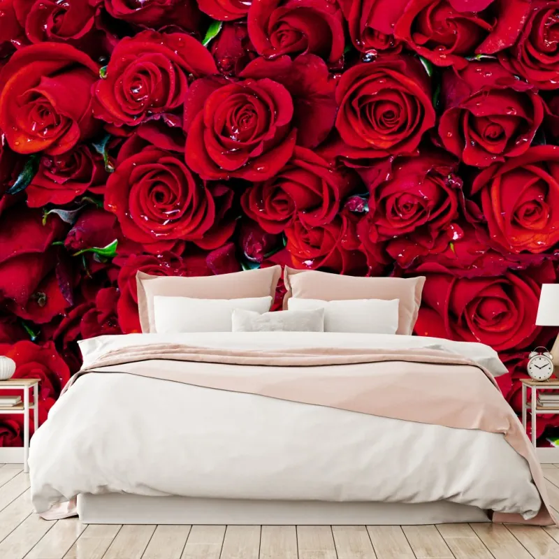Wall mural lush red roses close-up