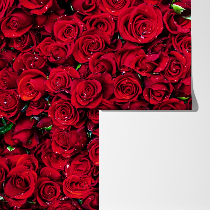 Fototapeta gęsta ściana czerwonych róż – Wallissimo® Fototapeta gęsta ściana czerwonych róż – Wallissimo®