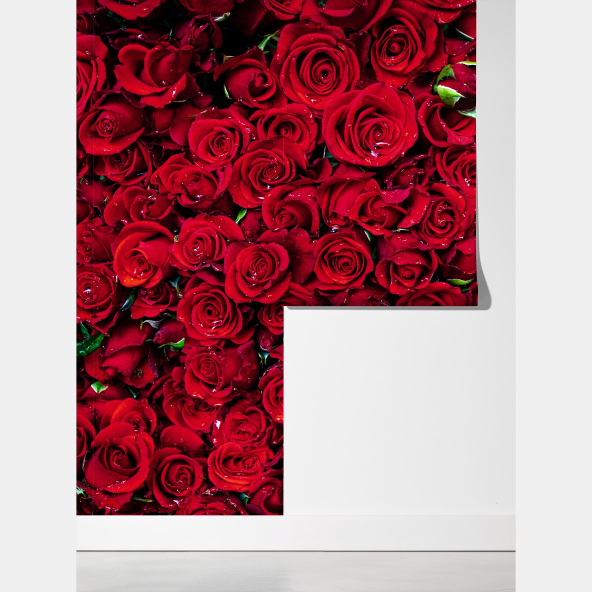 Fototapeta gęsta ściana czerwonych róż – Wallissimo® Fototapeta gęsta ściana czerwonych róż – Wallissimo®