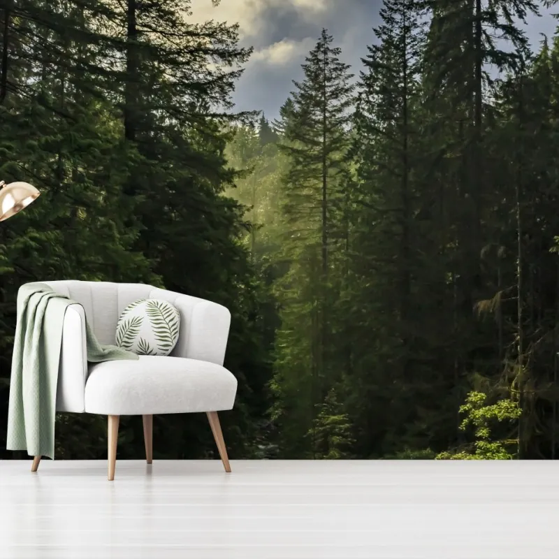 Wall mural misty evergreen forest waterfall