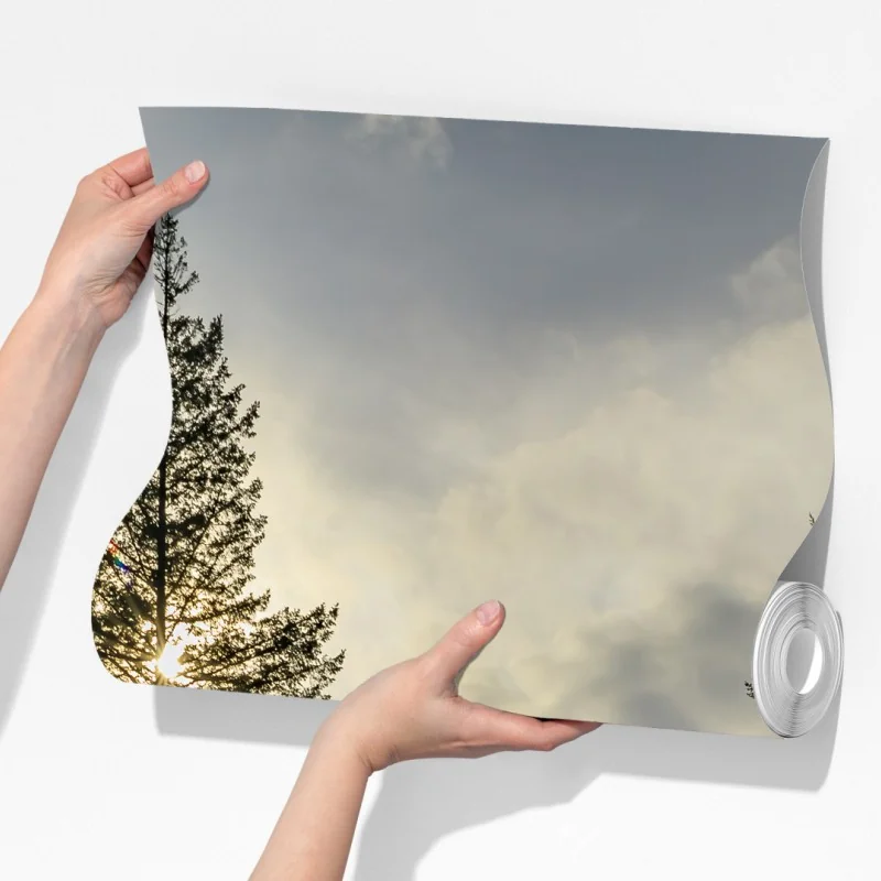 Fototapeta mglisty iglasty las z wodospadem – Wallissimo® Fototapeta mglisty iglasty las z wodospadem – Wallissimo®