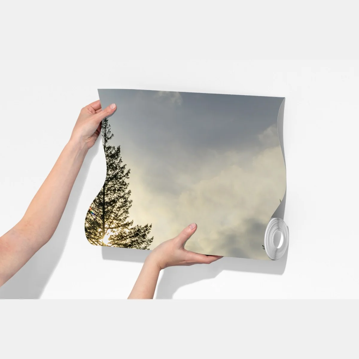 Fototapeta mglisty iglasty las z wodospadem – Wallissimo® Fototapeta mglisty iglasty las z wodospadem – Wallissimo®