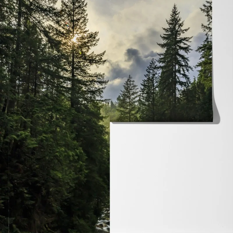 Fototapeta mglisty iglasty las z wodospadem – Wallissimo® Fototapeta mglisty iglasty las z wodospadem – Wallissimo®