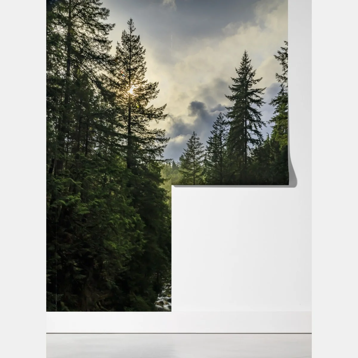 Fototapeta mglisty iglasty las z wodospadem – Wallissimo® Fototapeta mglisty iglasty las z wodospadem – Wallissimo®