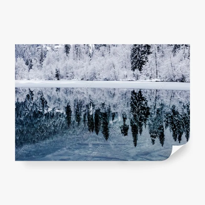 Fototapeta łąka łubinów przy Vestrahorn, Islandia – Wallissimo®