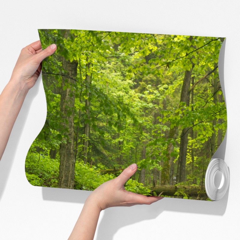 Fototapeta mechowy wodospad – Wallissimo® Fototapeta mechowy wodospad – Wallissimo®