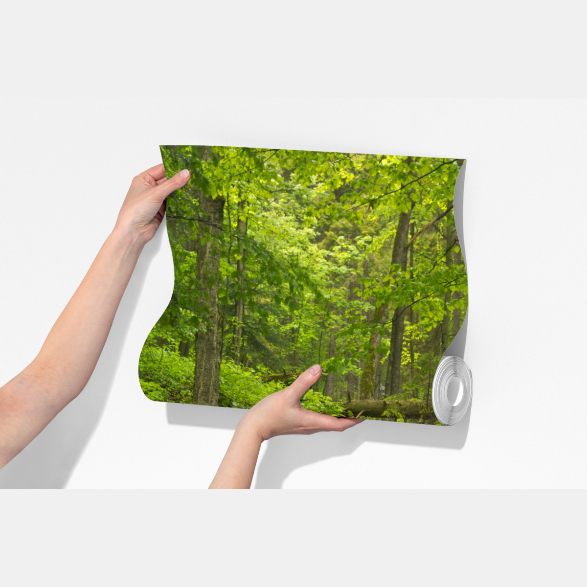 Fototapeta mechowy wodospad – Wallissimo® Fototapeta mechowy wodospad – Wallissimo®