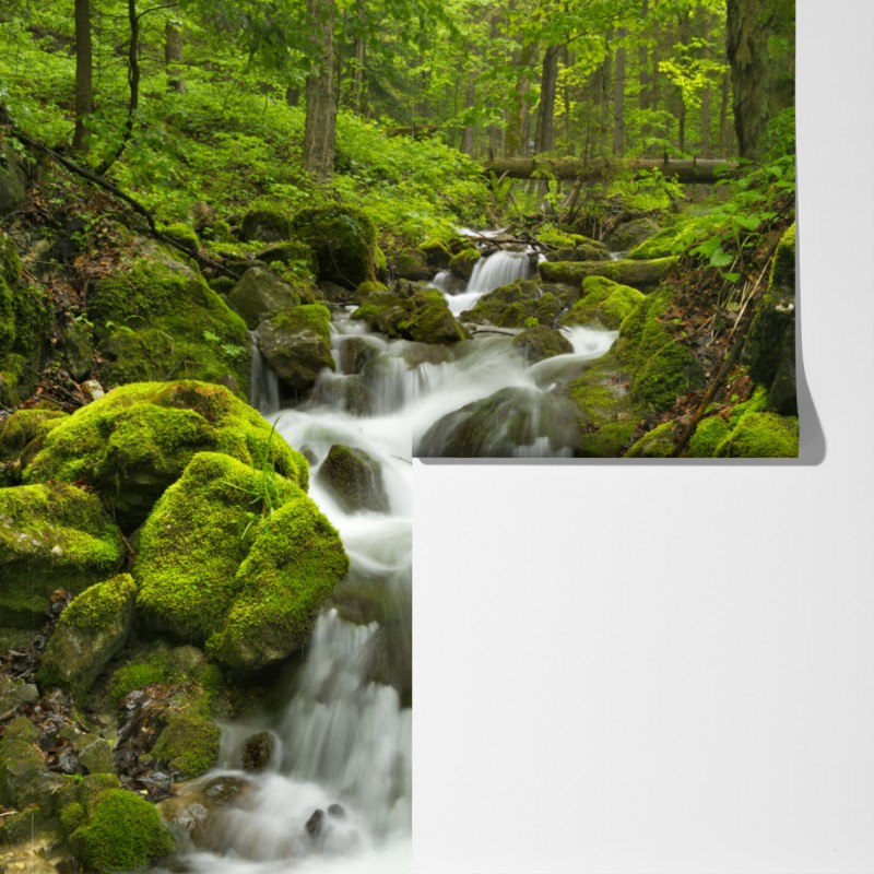 Fototapeta mechowy wodospad – Wallissimo® Fototapeta mechowy wodospad – Wallissimo®